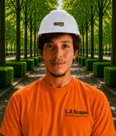 Ronaldo Roca_Crew Leader